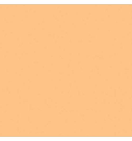 Rosco Kit de filtros de corrección de color