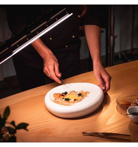 Zhiyun Fiveray M40 Led Light (ZHED050)