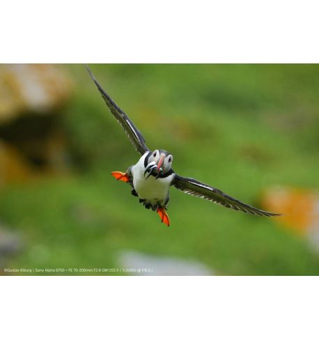 SONY A6700 Cuerpo | ILCE6700B | Alpha 6700  | Vídeo 4K Profesional 26 MP **Reserva de producto**