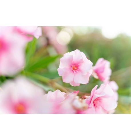 TAMRON 35-150mm F2-2.8 Di III VXD para SONY E