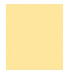 ROSCO E'COLOUR 762X122CM E443 1/4 CT STRAW