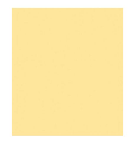 ROSCO E'COLOUR 762X122CM E443 1/4 CT STRAW