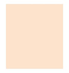 ROSCO E'COLOUR 762X122CM E206 1/4  CT ORANGE