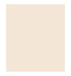 ROSCO E'COLOUR 762X122CM E223 1/8 CT ORANGE