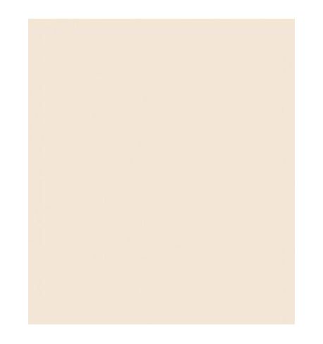 ROSCO E'COLOUR 762X122CM E223 1/8 CT ORANGE