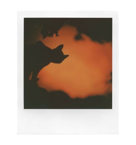 Polaroid Película i-TYPE 00600