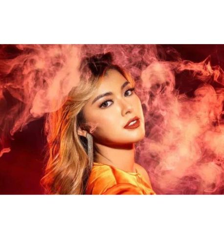 LENSGO Máquina de humo portátil Smoke B 40W (310250)