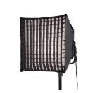 Godox GODOX SOFTBOX CON GRID P600BHS22 PARA PANEL P600