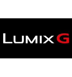 PANASONIC LUMIX GX80 + 12-32  2ª  Mano *** 2