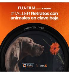 Taller Retratos de animales en clave baja con Haidé Costa