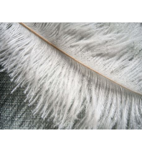 HASSELBLAD Tubo de extensión Hasselblad X 9mm