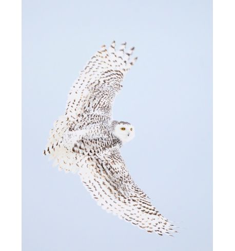 Taller Antonio Liébana