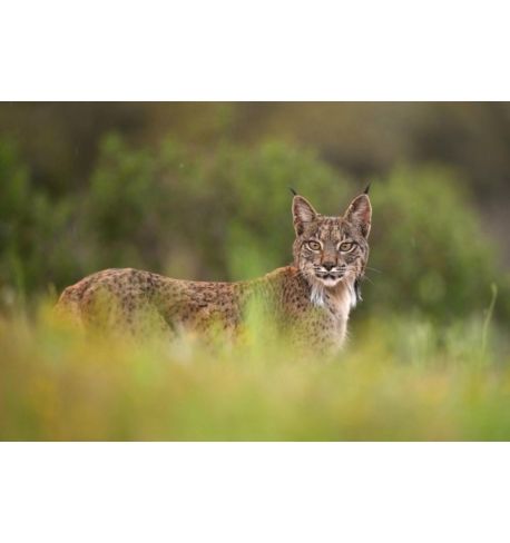 Taller Antonio Liébana-SONY, un año en la vida de un fotógrafo