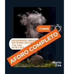 Taller Mirrorless: Fotografía creativa de fauna salvaje por Mario Cea