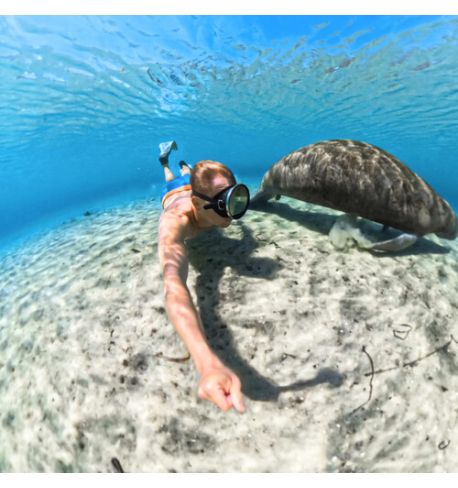 Insta360 Estuche de buceo invisible para X5