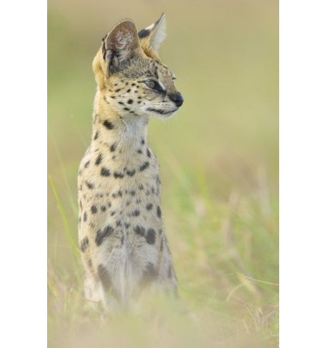 Taller Sony Alpha 7 v - Antonio Liébana