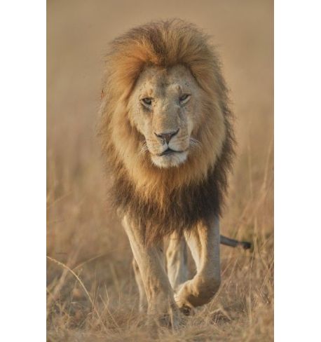 Taller Sony Alpha 7 v - Antonio Liébana