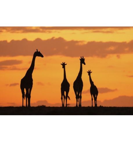 Taller Sony Alpha 7 v - Antonio Liébana