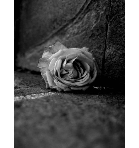 Fotowalk El arte de ser invisible por David Bonomo y RICOH