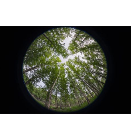 LAOWA 8-15mm F2.8 FF Zoom Fisheye