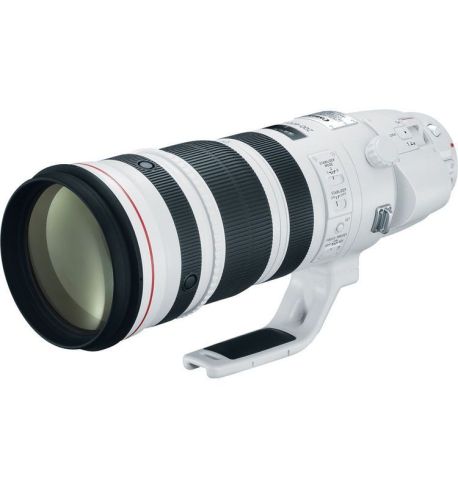 CANON 200-400mm f/4L IS USM Extender 1.4x (EF)