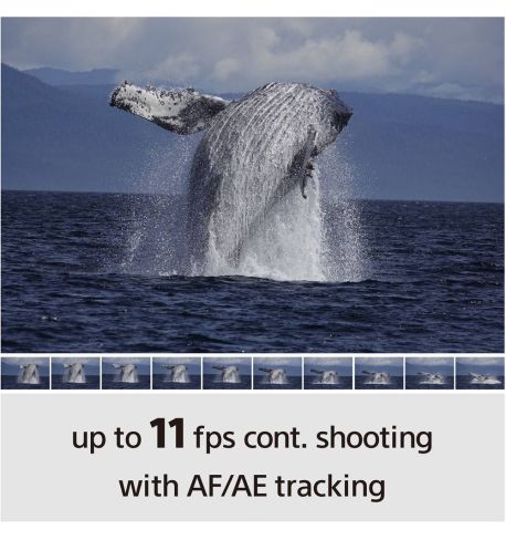 SONY A6100 + 16-50mm + 55-210mm ILCE6100YB (reserva producto)