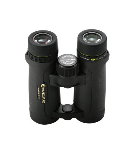 Vanguard Endeavor ED II 1042