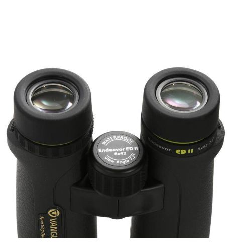 Vanguard Endeavor ED II 8420