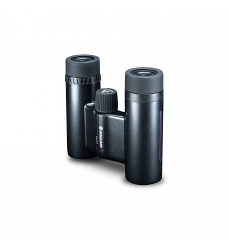 Vanguard Vesta 1021 BP