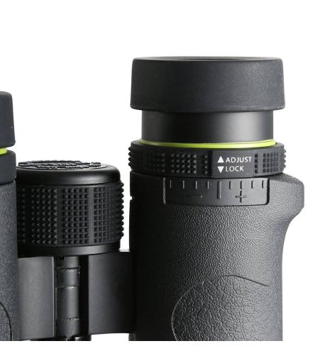 Vanguard Endeavor ED II 1042