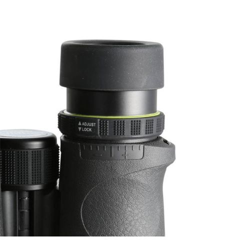 Vanguard Endeavor ED II 8420