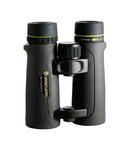 Vanguard Endeavor ED II 1042