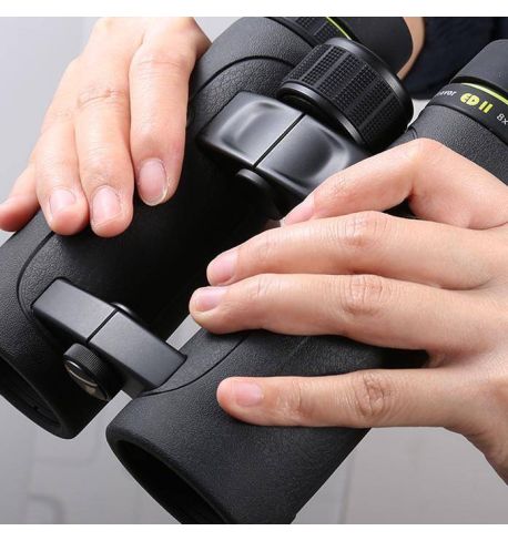 Vanguard Endeavor ED II 8420