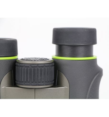 Vanguard Endeavor ED IV 1042