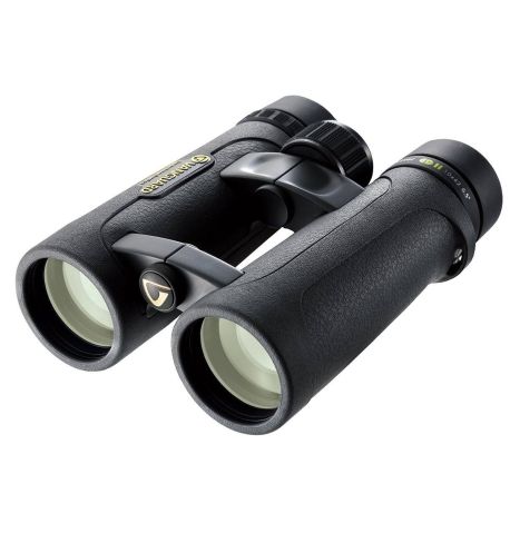 Vanguard Endeavor ED II 1042