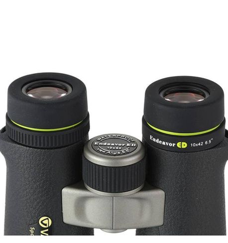 Vanguard Endeavor ED 1042