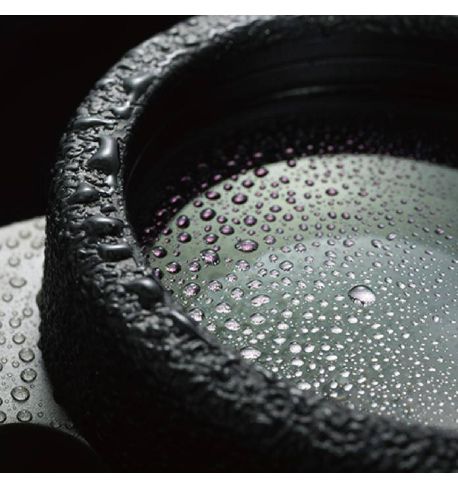 Vanguard Endeavor ED II 8420