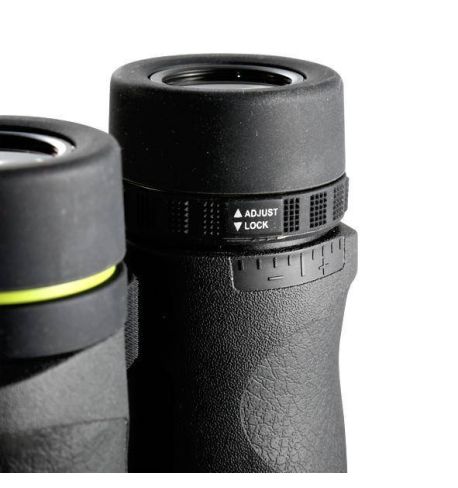 Vanguard Endeavor ED II 1042