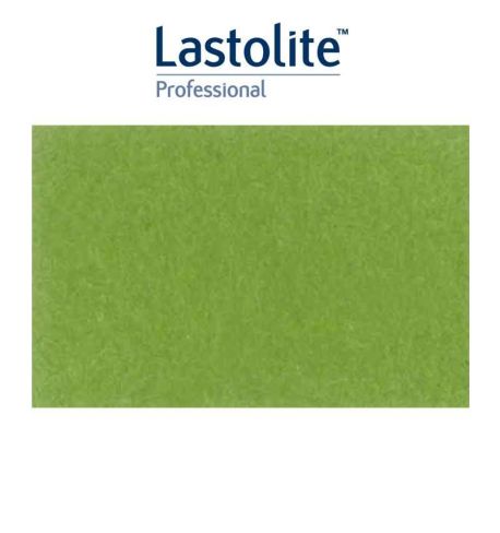 LASTOLITE Fondo de papel Leaf verde claro 2,75 x 11 mts. LP9046