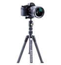 Vanguard Tripode Vesta TB204CB