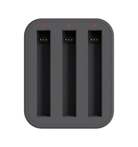 Cargador de carga rápida para Insta360 ONE X2