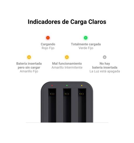 Cargador de carga rápida para Insta360 ONE X2