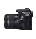 CANON EOS 250D + 18-55mm IS KIT: Funda Canon  + Sd-HC 16Gb + gamuza (3454C010AA)