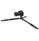 Vanguard Veo 3T 204CBP - Trípode de viaje de carbono, rótula de bola