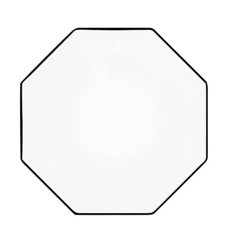 Profoto Clic Softbox Octa