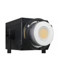 NANLITE FOCO FS-300 Bi-Color LED Spot Light (NA122043)