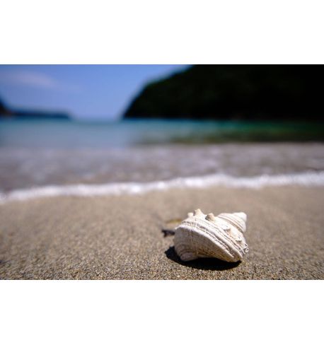 TOKINA 11-18mm F2.8 ATX-M (SONY E)