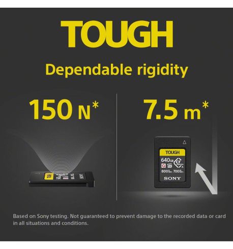 SONY CFEXPRESS Tipo A 640GB CEA-G640T