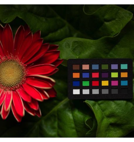 Calibrite ColorChecker Classic Nano | CCC-NANO