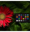 Calibrite ColorChecker Classic Nano | CCC-NANO